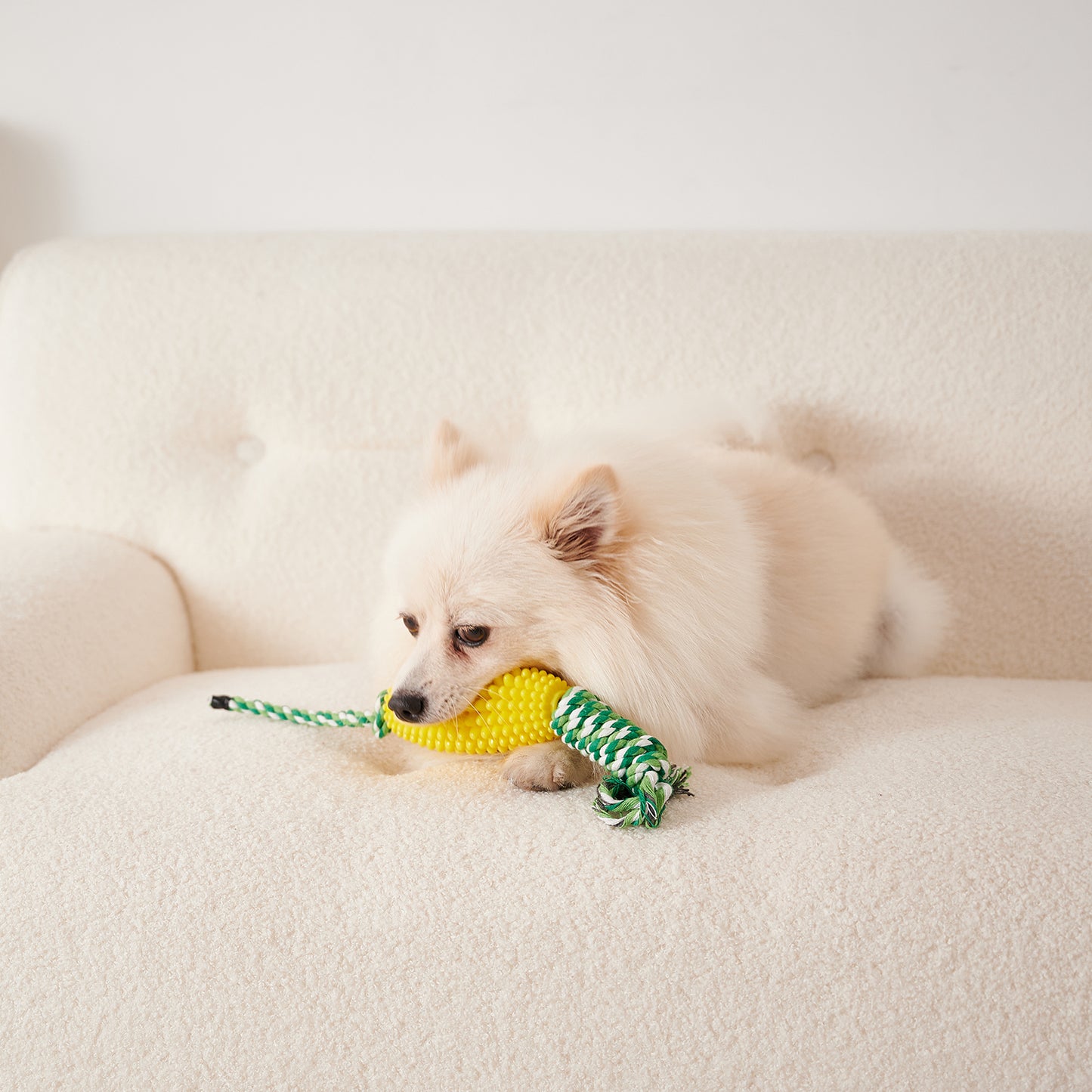 Puppy Toothbrush Clean Teeth Interactive Corn Toys Dog Toys Aggressive Chewers Dog Chew Toys